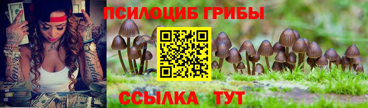 Псилоцибиновые грибы Psilocybe  Галлюциногенные грибы Psilocybine cubensis  Курчалой  Вход с VPN 